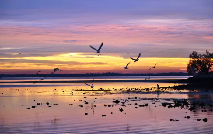 Gli argini della Laguna di Grado