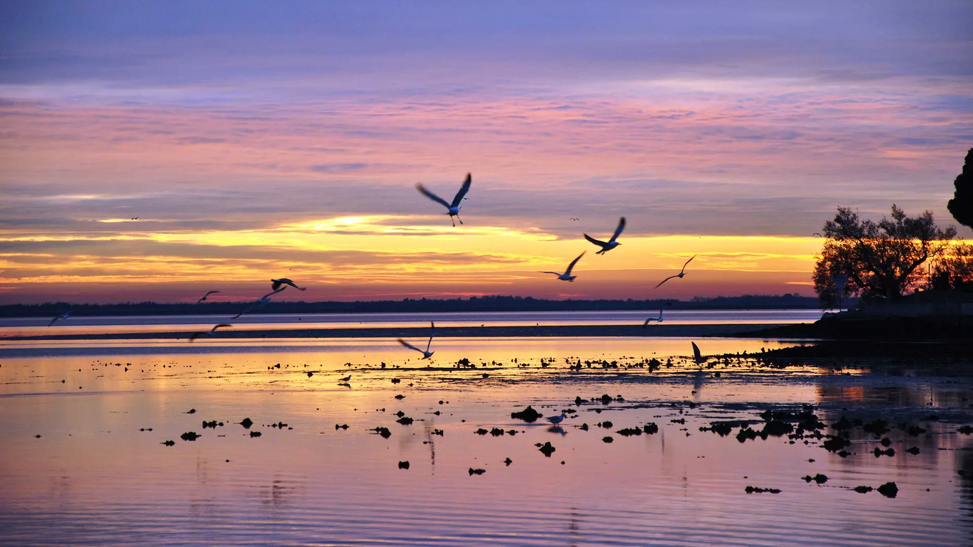 Gli argini della Laguna di Grado